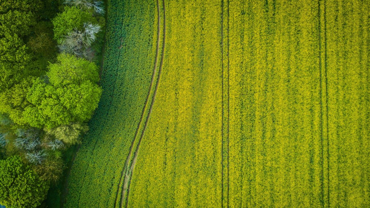 fazenda agronegocio cadastro ambiental rural