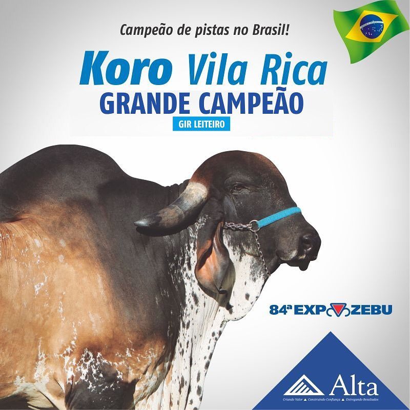 koro fiv vila rica