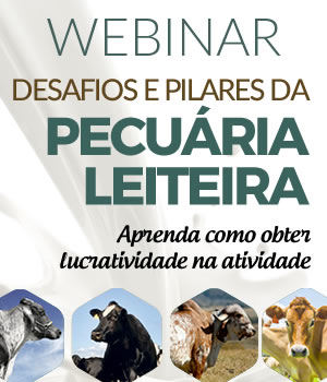 webinar pecuaria leiteira