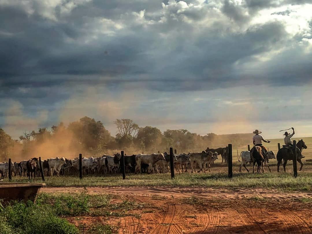 capataz de fazenda na lida