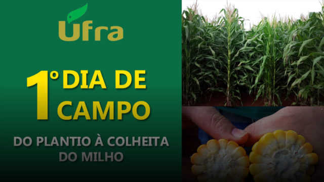 dia de campo gerfam milho