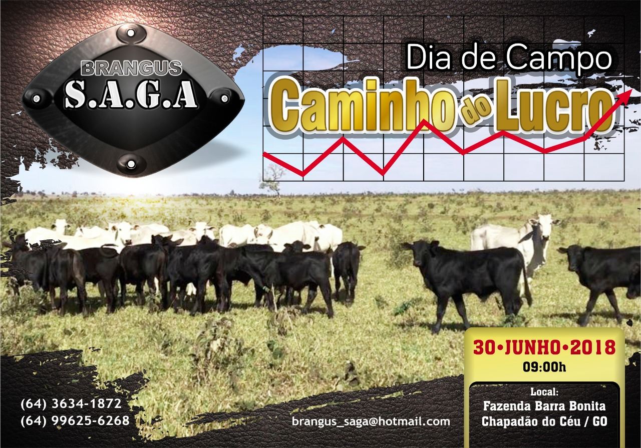 dia de campo saga brangus