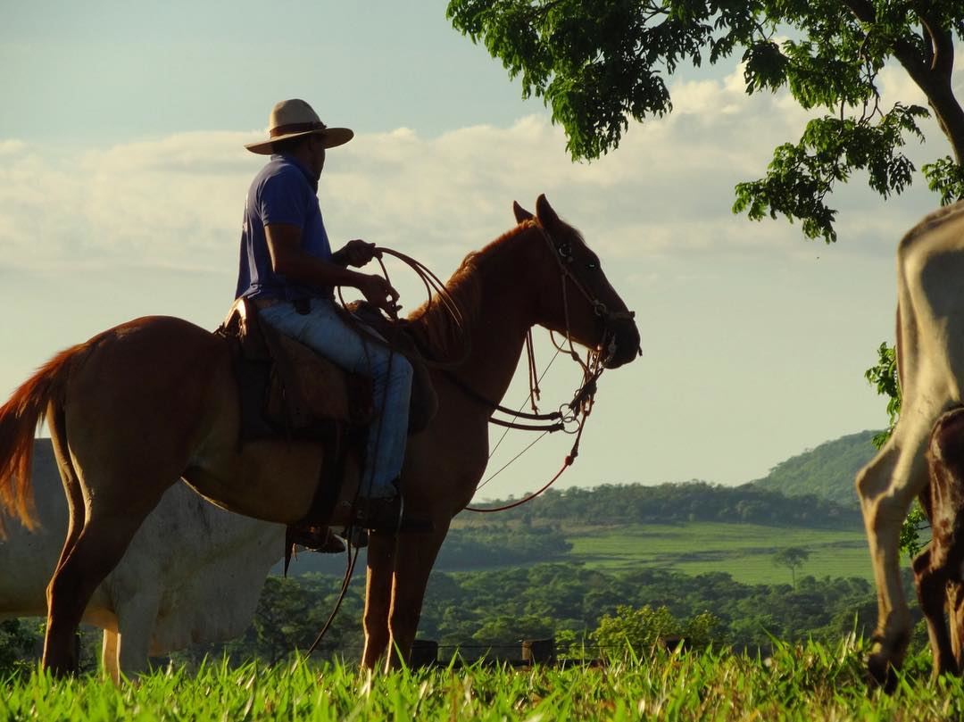 trabalhador rural vaqueiro na fazenda a cavalo