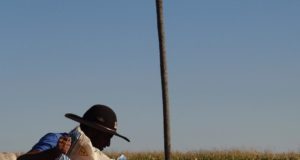 trabalhador rural vaqueiro na fazenda repondo sal mineral nutricao bovina