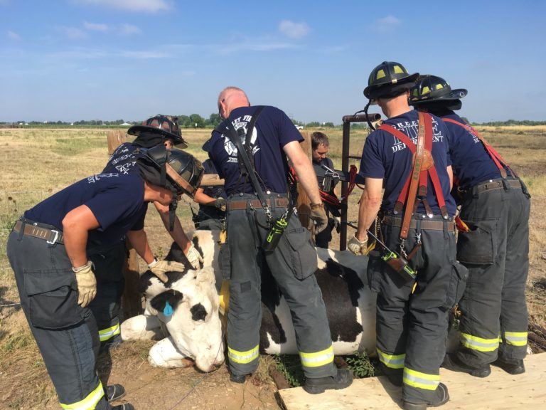 BOMBEIROS DE BARBACENA RESGATAM CAVALO PRESO EM MATA-BURRO, EM BARROSO