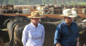 adriane zart e dr paulo loureiro - o nada nas maos agrotalento