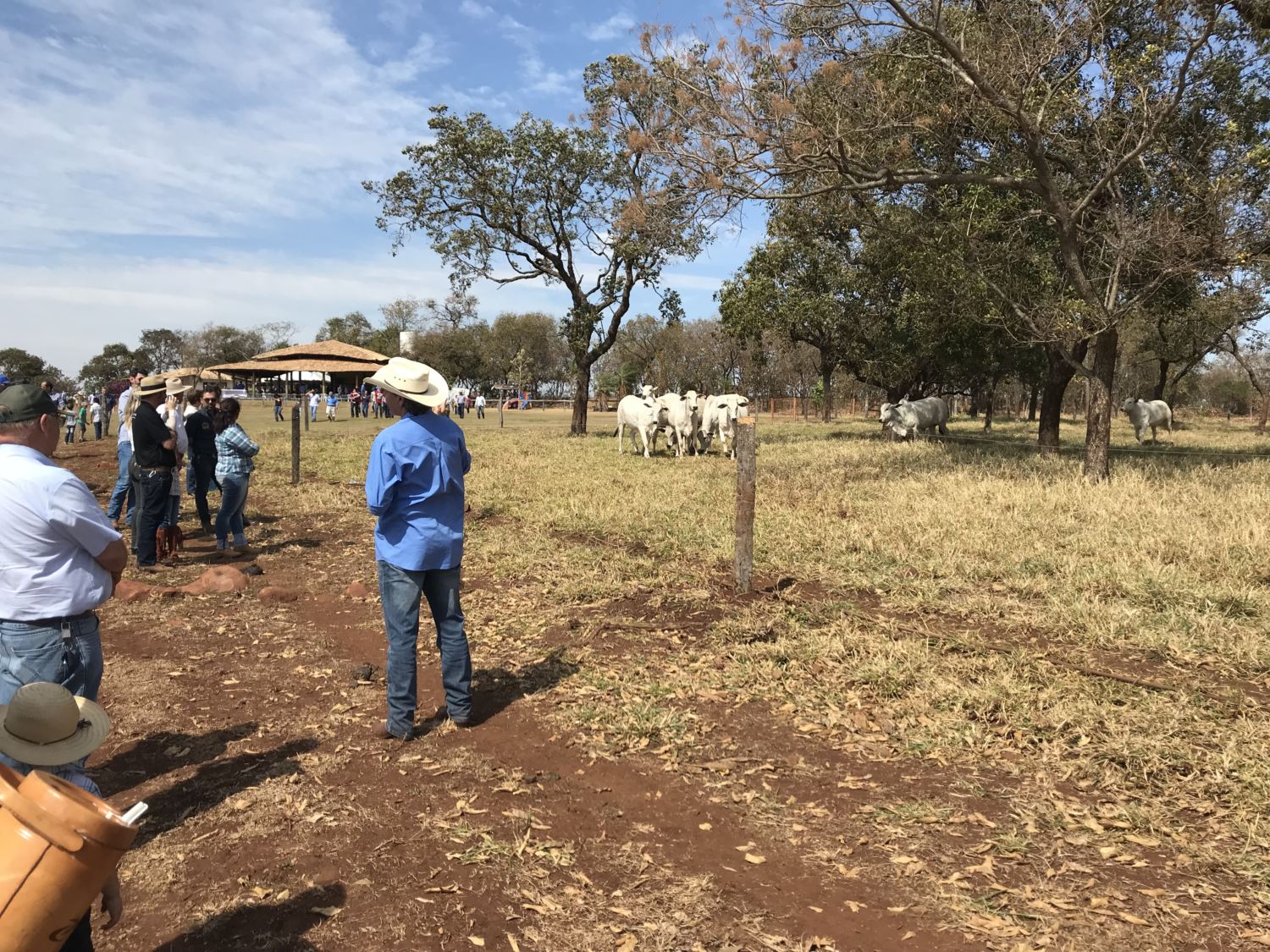 dia-de-campo-j-machado-terenos