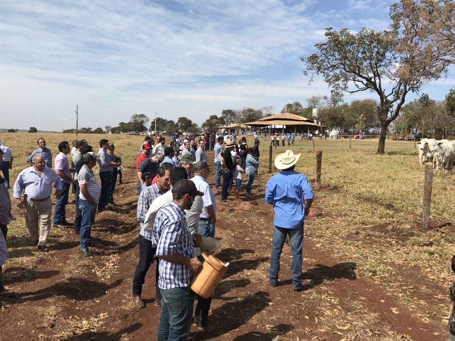 dia-de-campo-j-machado-terenos