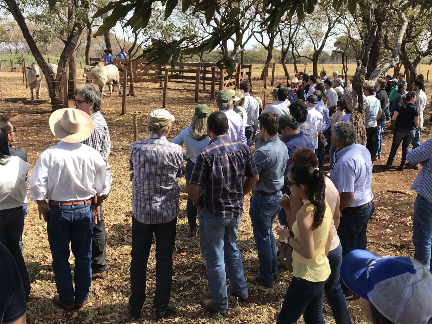 dia-de-campo-j-machado-terenos