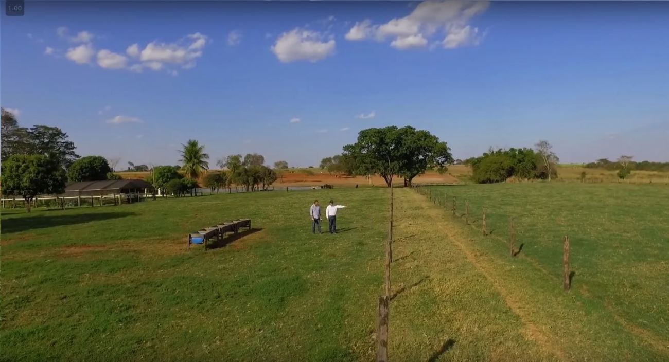 irrigação por gotejamento em pastagens