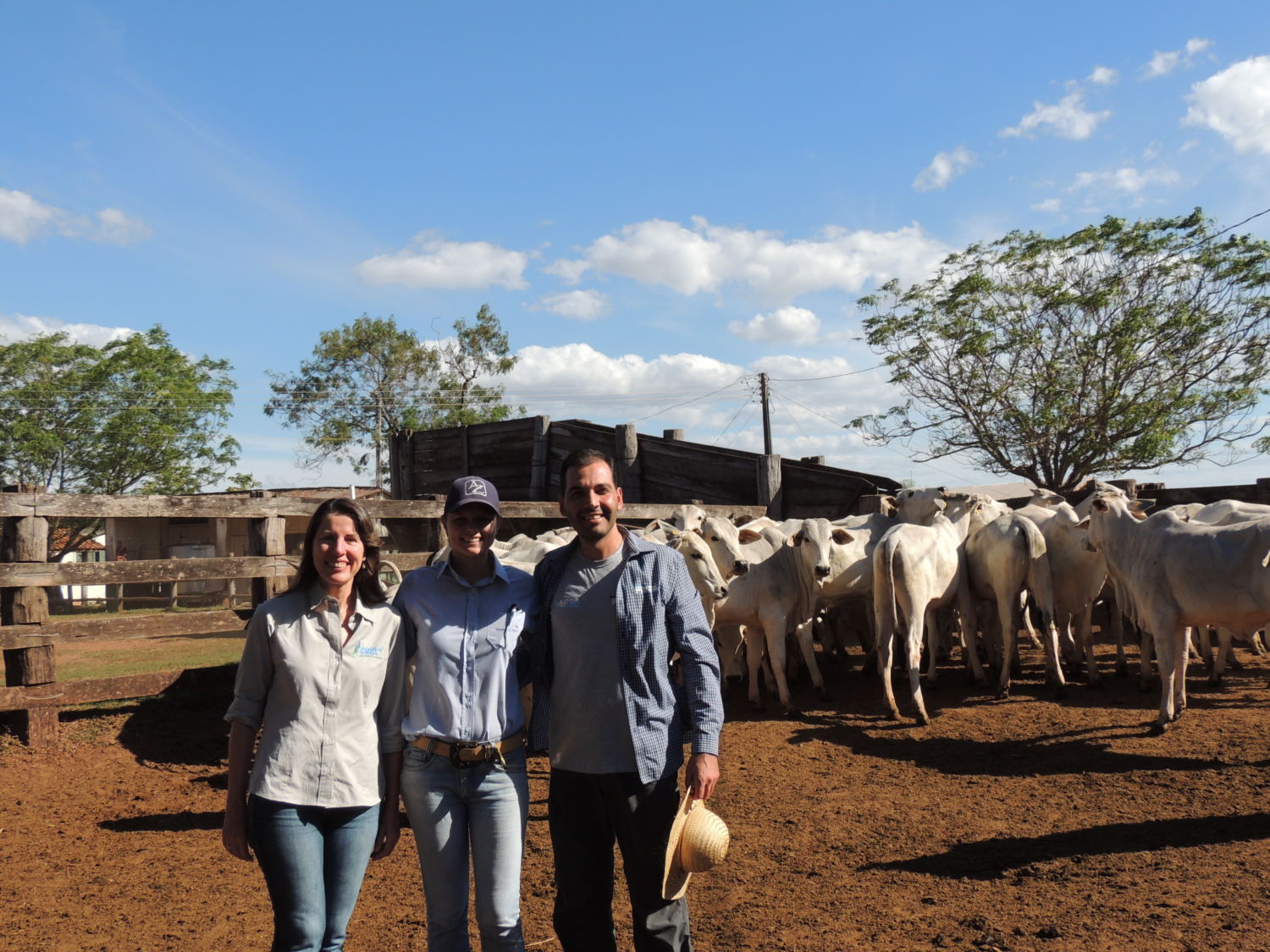 manejo-nada-nas-maos-cabeceira-do-prat