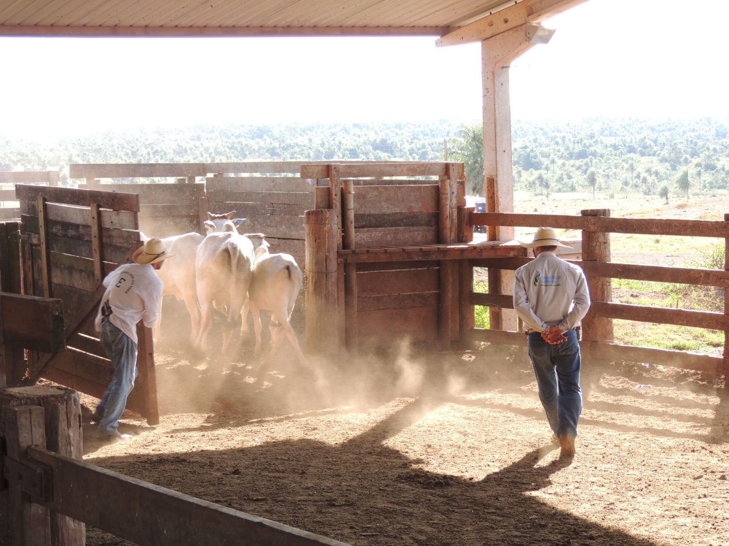 manejo-nada-nas-maos-cabeceira-do-prat