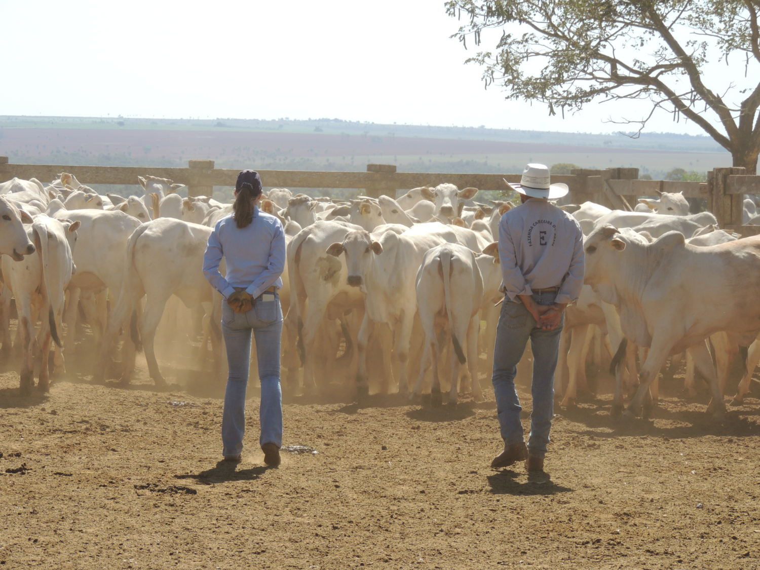 manejo-nada-nas-maos-cabeceira-do-prat