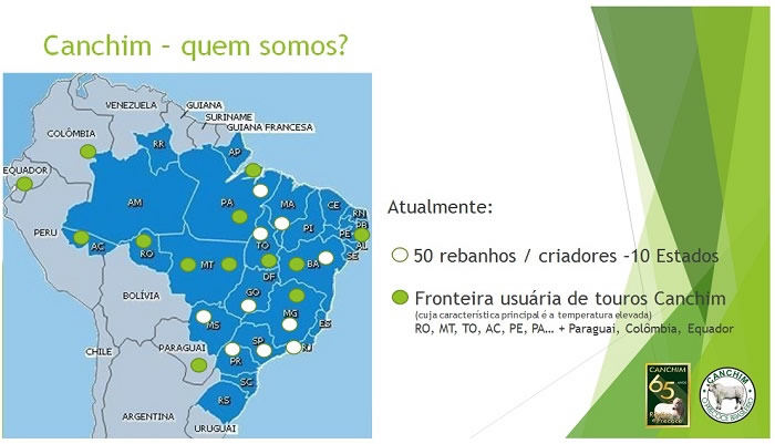 mapa dos rebanhos da raca canchim 1