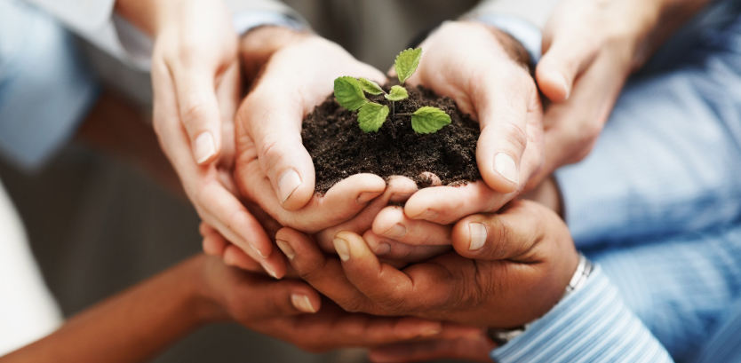 plantando juntos um futuro