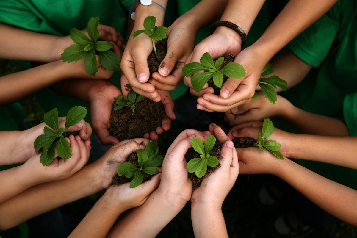 plantando juntos um futuro