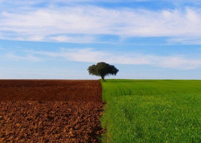agricultura