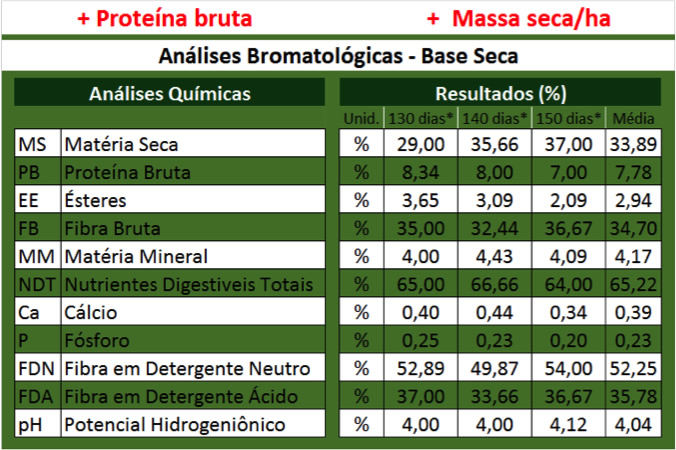 analise bromatologica do super sorgo