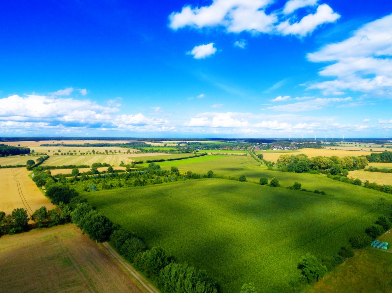 visao de fazenda linda