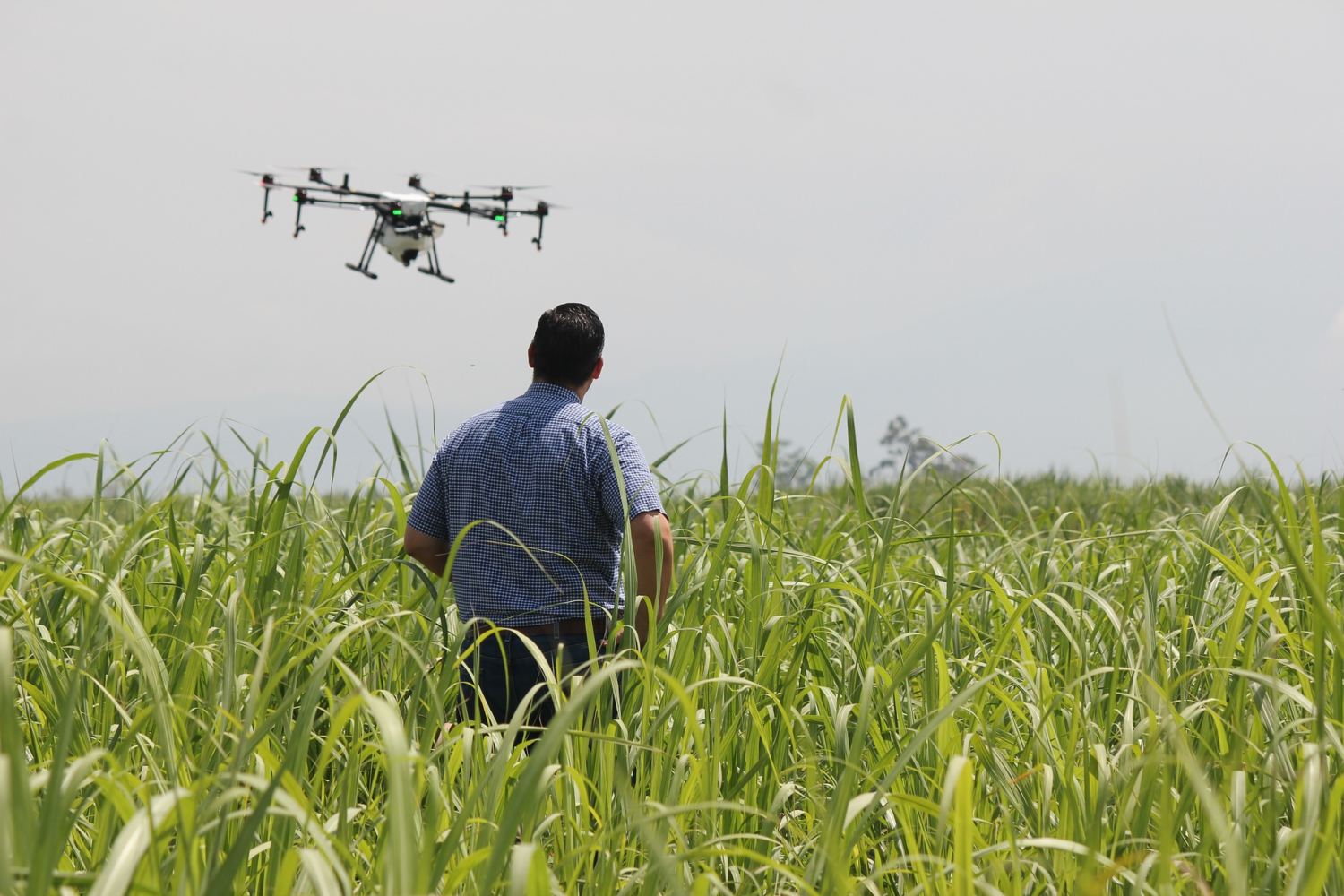 homen na lavoura operando drone