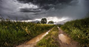 chuva no campo