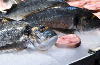 carne de peixe
