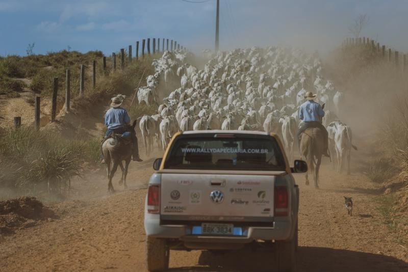 rally da pecuária