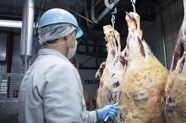 Carne com selo de qualidade Nelore 3 Carne com selo de qualidade Nelore 3