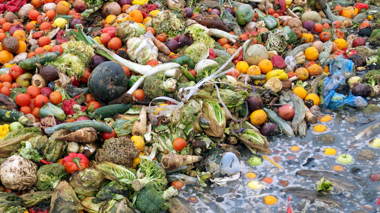 desperdicio de alimentos