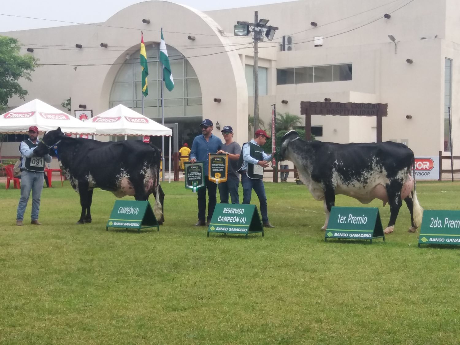 girolando na expocruz