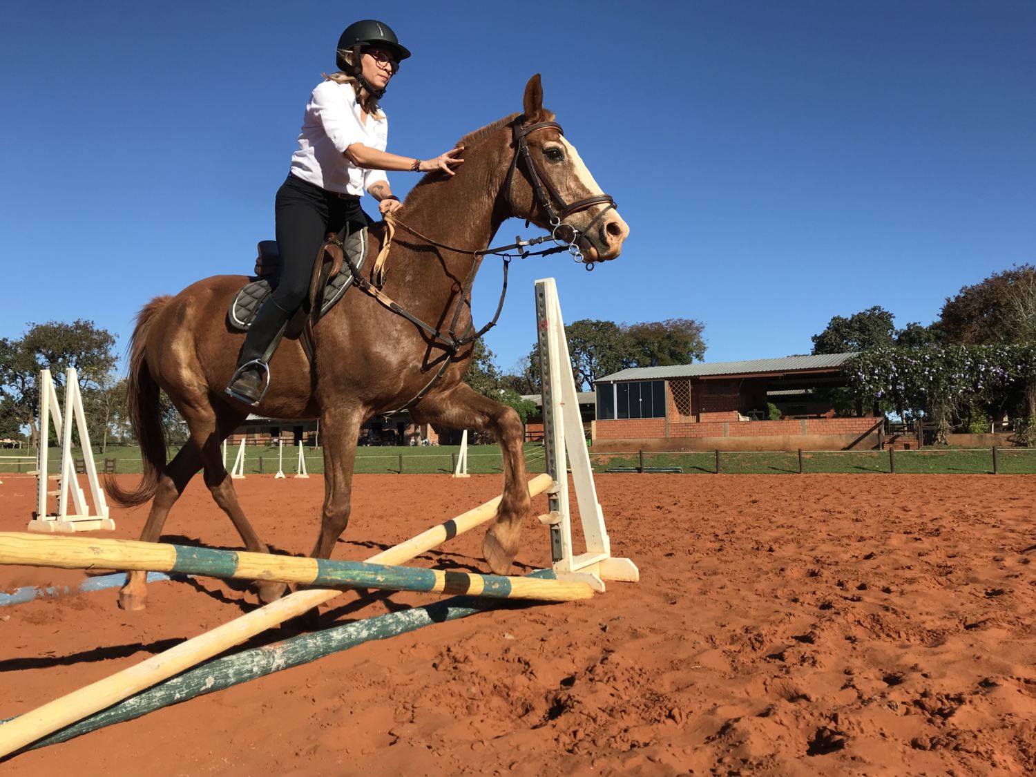 juliana vieira fazendo exercicios em cavalo pista hipismo