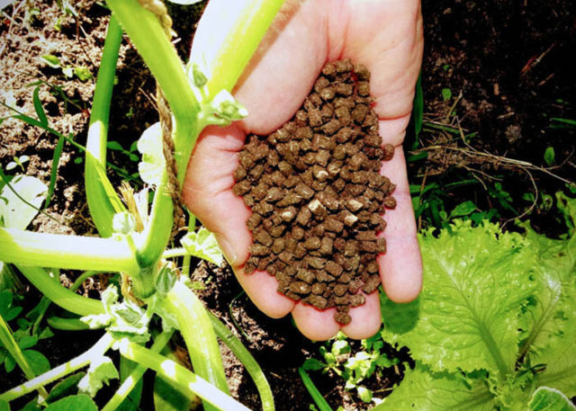 n-verde fertilizante biomassa 2 n-verde fertilizante biomassa 2