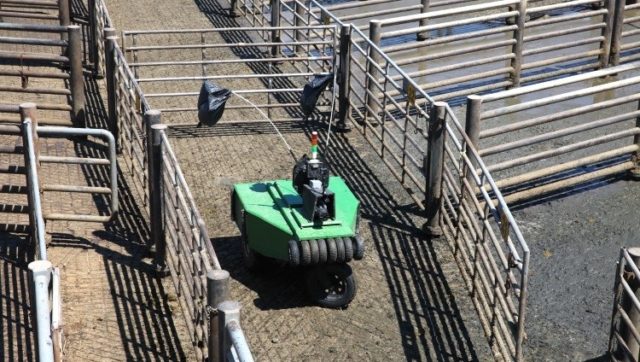 Cargill-designs-robotic-cattle-driver_wrbm_large