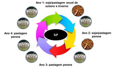 CicloSojamodeloILP