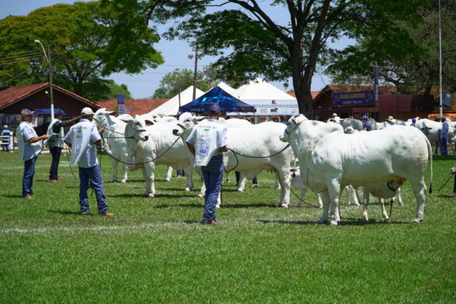 Expo Rio Preto 2018 Expo Rio Preto 2018