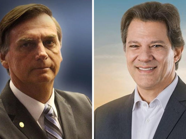 bolsonaro x haddad