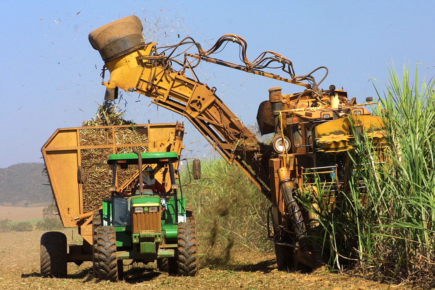 colhedeira de cana a campo