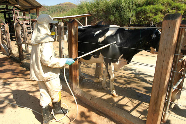 Opções para o manejo do carrapato