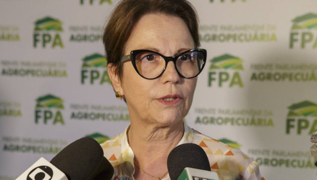 deputada federal tereza cristina do democratas deputada federal tereza cristina do democratas