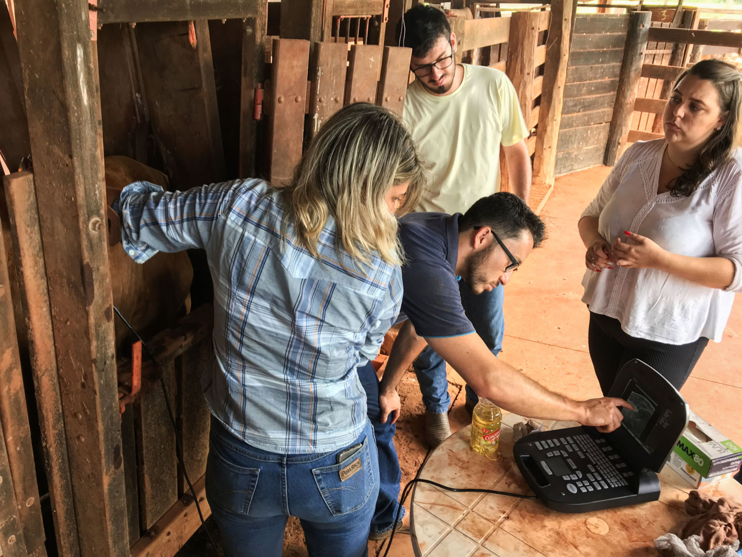 workshop-imv-personal-pec-embrapa