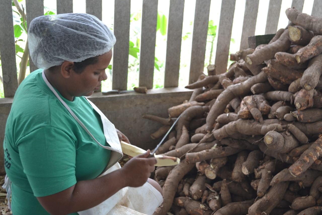 xapuria agroindustria farinha