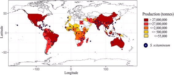 Distribuição-da-doença-em-países-que-cultivam-cana-de-açúcar