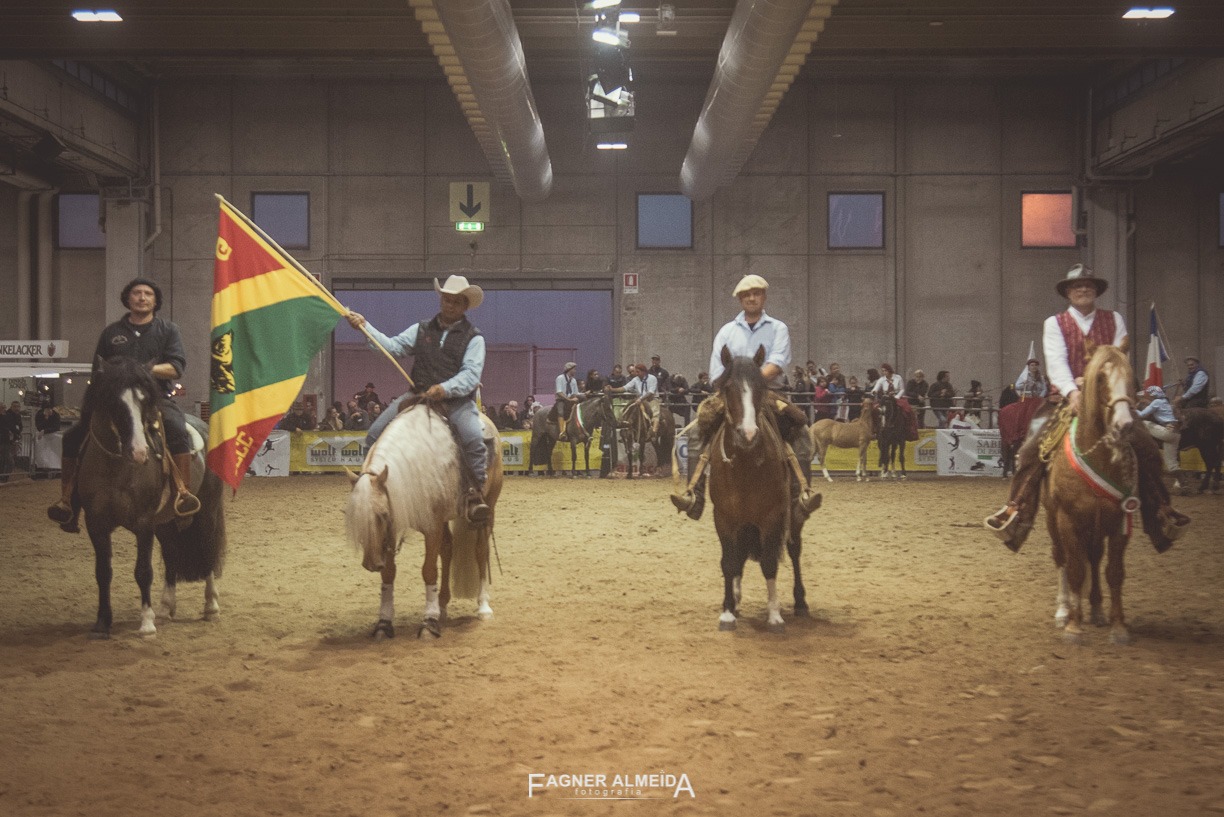 Fieracavalli-cavalo-crioulo-12