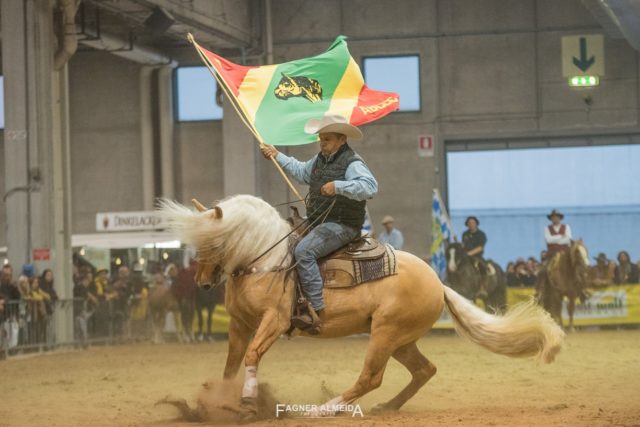 Fieracavalli-cavalo-crioulo-2 Fieracavalli-cavalo-crioulo-2