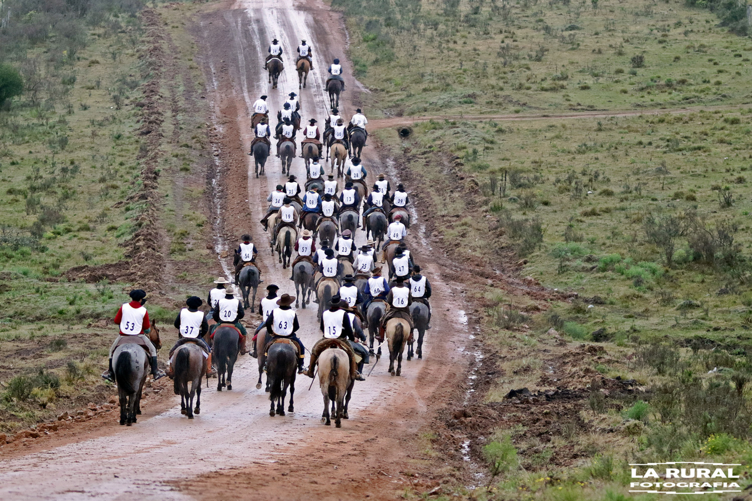 Marcha-de-Resistência-do-Cavalo-Crioulo