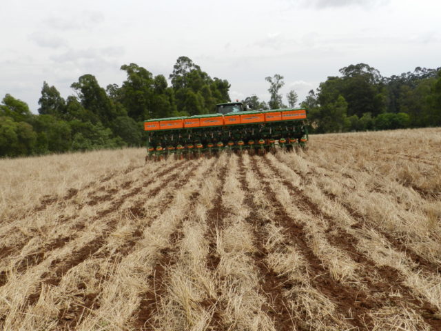 plantio de soja