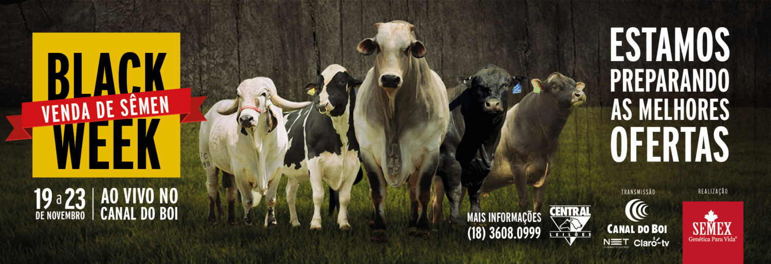 black-week-da-semex-brasil