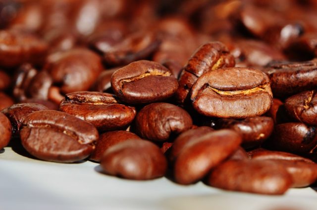 grãos de café grãos de café