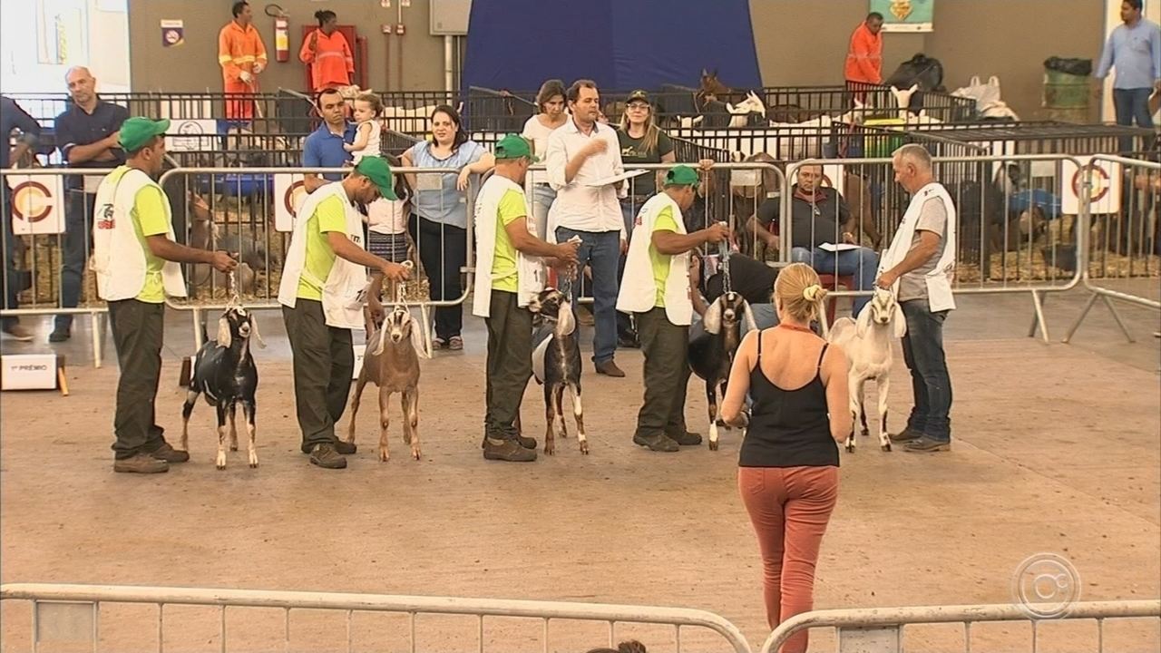 feira-nacional-de-caprinos