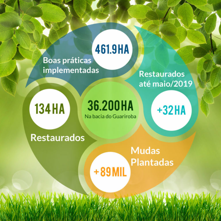 infografico-boas-praticas-preservar-a-natureza